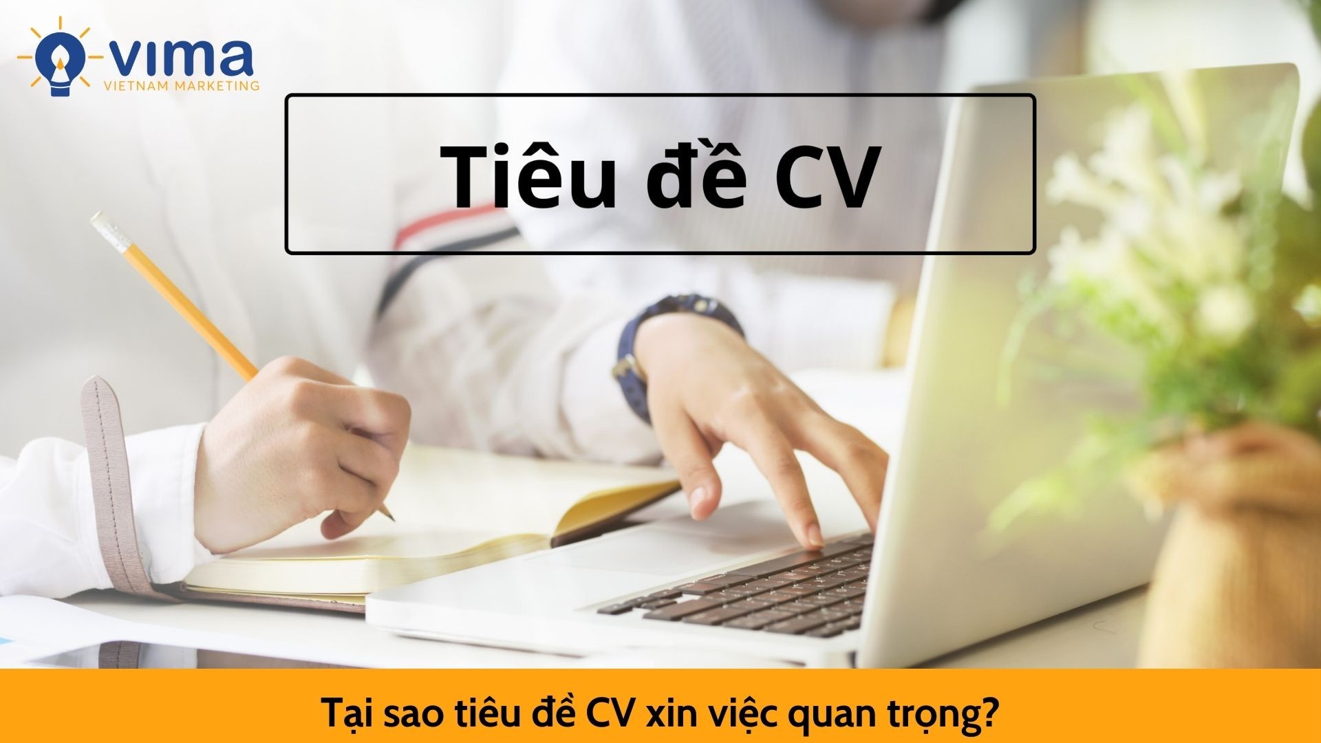 Tại sao tiêu đề CV xin việc quan trọng?